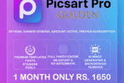 PicsArt Pro Subscription
